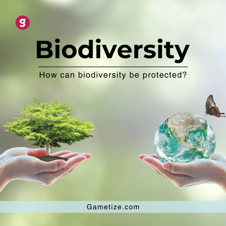 Biodiversity Sustainability