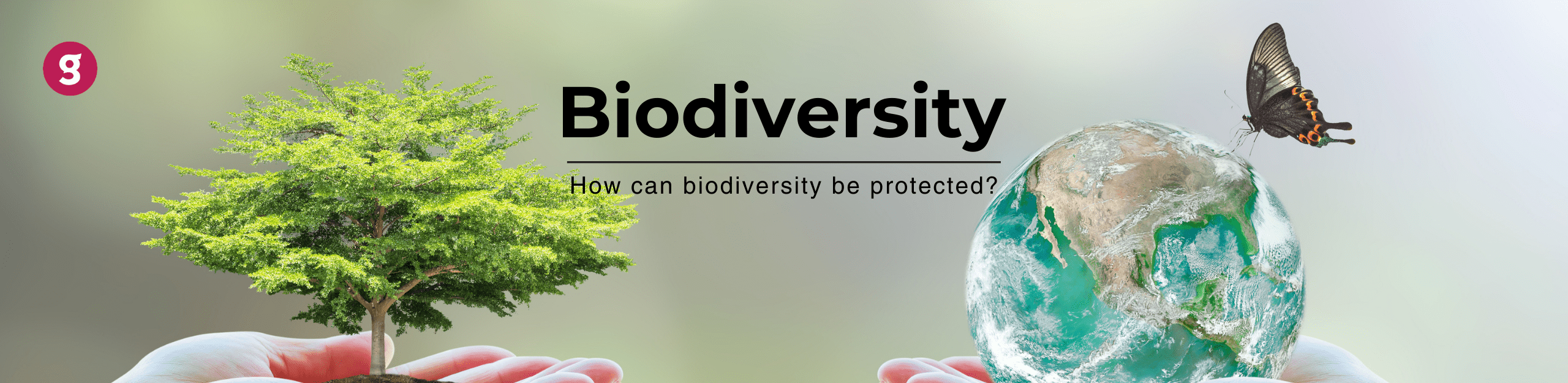 How can Biodiversity be protected